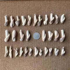 Item thumbnail for item 3eb578ee-1807-4ff7-a345-cecef205d51d