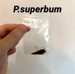 ジョバンニ様 リクエスト 2点 まとめ商品