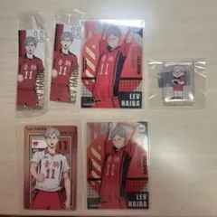 ハイキュー!! リエーフセット