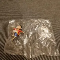 ルフィ　ワンピの実