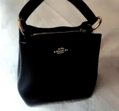 COACH コーチ スモール タウン バケット バッグ ショルダーバッグ