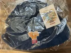 【未使用】ポケモン ロコン サウナハット　ぽけもんせんと〜のサムネイル