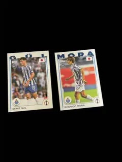 Item thumbnail for item 8b4edfd4-4ad0-4392-ace0-9359527dacf3