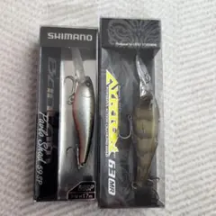 Item thumbnail for item 065ee587-9d33-4cbc-a2d9-366f66491c3e