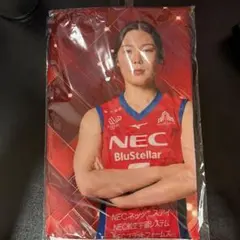 INAC神戸レオネッサ 澤穂希 直筆サイン入りフォト 写真 - メルカリ