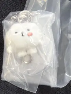 MINITEEN つまんでつなげてますこっと ウジ ビョプリ カニカン