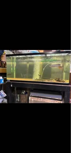 ADA ガラス水槽 904545 - メルカリ