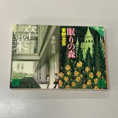 Item thumbnail for item bfb1a745-ee73-411d-9159-f385b40668f1