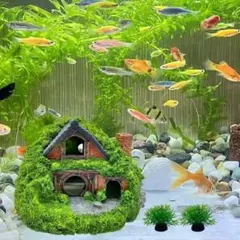 2025年最新】ミニチュア金魚鉢 水槽の人気アイテム - メルカリ