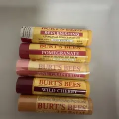 BURT'S BEES リップクリーム 5本セットのサムネイル