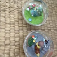 ポケットモンスター　ポケモン　テラリウムコレクション　フシギダネ　イーブイ