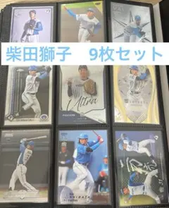 柴田獅子 スポーツカード