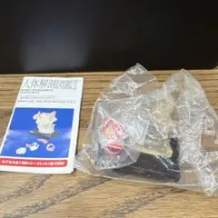 Item thumbnail for item bf1870be-7f15-4d63-92fb-25a4ea1f8b0f