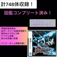 ポケットモンスターブラック２