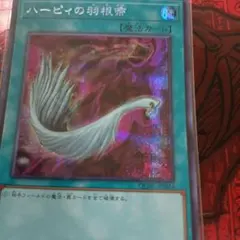 ハーピィの羽根帚 QCAC-JP024