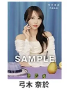 Item thumbnail for item 9089b268-8f4d-433f-99ee-bd708f65e9e4