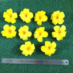 Item thumbnail for item 6734ee5a-3b2f-4c39-a7e1-44a596163289