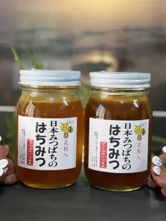 ハチミツ 日本蜜蜂の蜂蜜 奥山の奥のはちみつ 谷違い巣箱違いの花粉