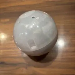 コライドン　カプセルトイ ガチャガチャ カプセル未開封