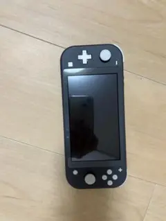Nintendo Switch Lite グレー 本体