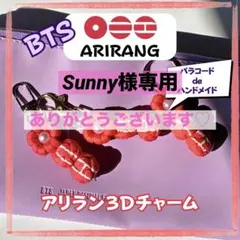 専用ページARIRANG 3Dチャーム BTS パラコード ハンドメイド