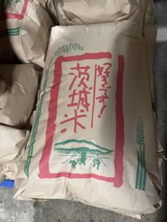 新米！令和8年栃木産コシヒカリ白米 内容量10kg （玄米約11kgを精米