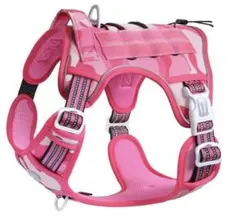 Item thumbnail for item d9c85ca4-3bc4-4ac0-8feb-793262ded934