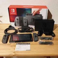 Nintendo Switch 本体 グレー 本体更新 初期化済