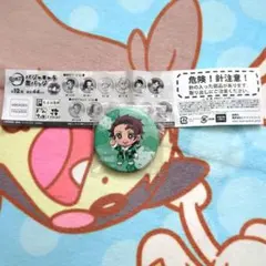 鬼滅の刃 竈門炭治郎 缶バッジ