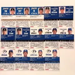 プロ野球チップス カード 北海道日本ハムファイターズ 14枚セット