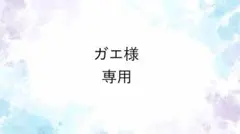 ガエ様専用　No63ジェルネイルチップ