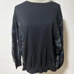 Item thumbnail for item e34a3249-ddc9-4630-90a0-816fe9ba8335