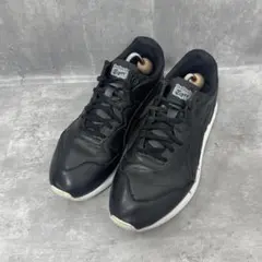 Onitsuka Tiger オニツカタイガー 28cm スニーカー シューズ