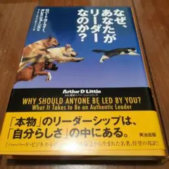 Item thumbnail for item 90d8273b-ef62-4025-8b24-805b65e8f731