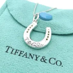 (*)様 Tiffany & Co. ホースシュー ネックレス　PT950 プラ 様 Tiffany & Co. ホースシュー ネックレス PT950 プラ - メルカリ