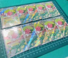 シェイミAR 10枚　熱風のアリーナ