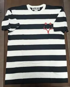 鹿島アントラーズ30周年記念　ボーダーTシャツ　サイズL　未使用品