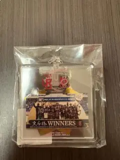 Item thumbnail for item 8ab2f7c3-6505-4505-8257-065f34b61ab4