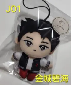 2026年最新】金城碧海の人気アイテム - メルカリ