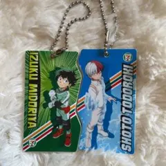 ヒロアカセット