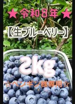 ☆令和8年 生ブルーベリー☆農薬不使用 3㌔ CHOCOLATE ☆令和8年 生ブルーベリー☆農薬不使用 3㌔ CHOCOLATE様専用 - メルカリ