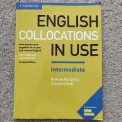 English Collocations in Use Intermediate