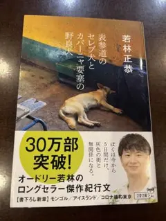 表参道のセレブとカバー要塞の野良犬　若林正恭