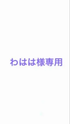 わはは様専用出品