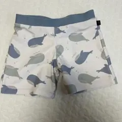 バースデイ　男の子水着　95cm