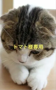 トマト様専用