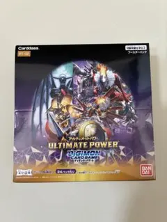 遊戯王 バーストプロトコル & ワールドプレミアパック2025 セット売り