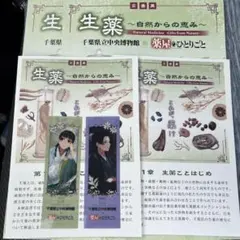 千葉県立中央博物館　薬屋のひとりごと　しおり　猫猫　壬氏　非売品