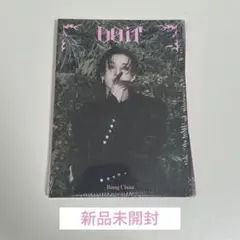 Stray Kids Do It アコーディオンver バンチャン