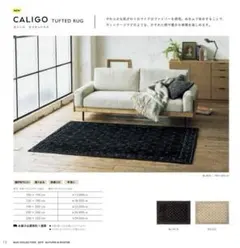 Item thumbnail for item 99ba228c-1423-469f-a335-7af803ae56b0